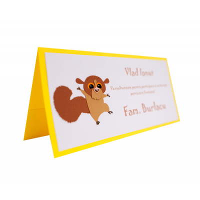 Card Asezare Botez Madagascar - Mort